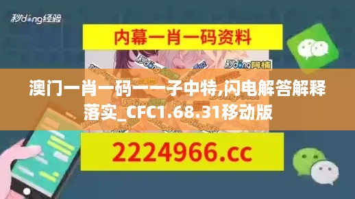 澳门一肖一码一一子中特,闪电解答解释落实_CFC1.68.31移动版