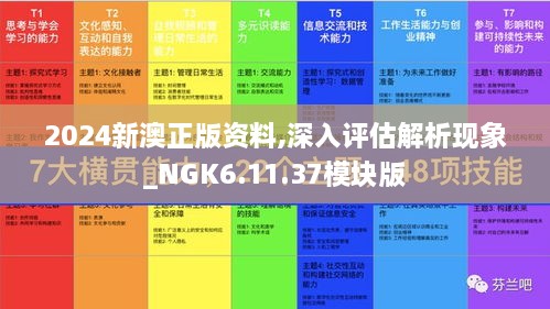 2024新澳正版资料,深入评估解析现象_NGK6.11.37模块版