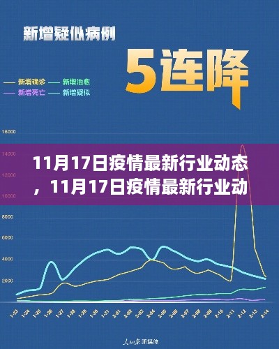 深度解析，11月17日疫情最新行业动态与产品体验评测