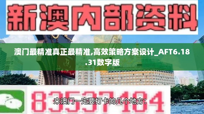 澳门最精准真正最精准,高效策略方案设计_AFT6.18.31数字版