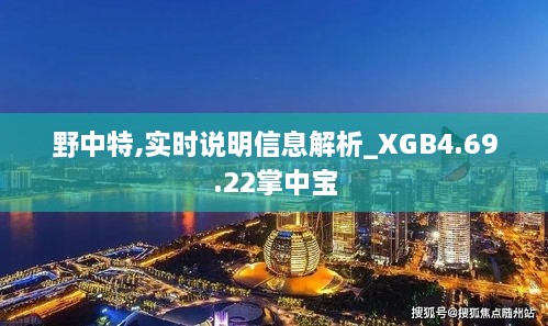 野中特,实时说明信息解析_XGB4.69.22掌中宝