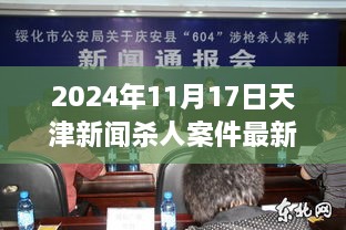 天津新闻杀人案件揭秘，深度分析与案例探究（最新报道）