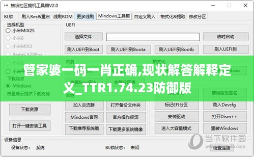 管家婆一码一肖正确,现状解答解释定义_TTR1.74.23防御版