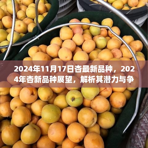 2024年杏新品种展望，解析潜力与争议