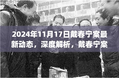 戴春宁案最新进展报告（深度解析），截至2024年11月17日的最新动态