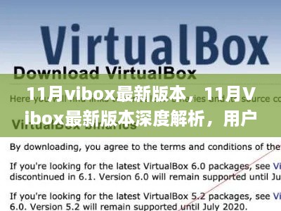 11月Vibox最新版本深度解析，用户体验与功能优化的双刃剑效应