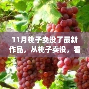 从桃子销售看学习变化如何点燃自信与成就感新篇章揭晓