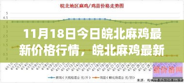 11月18日皖北麻鸡价格行情解析，市场波动与个人见解