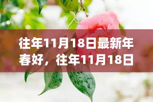 神采奕奕 第29页