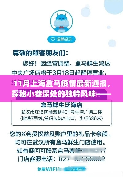 探秘上海盒马疫情下的小巷风情与小店奇遇