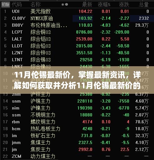 11月伦锡最新价指南，掌握资讯与解析步骤