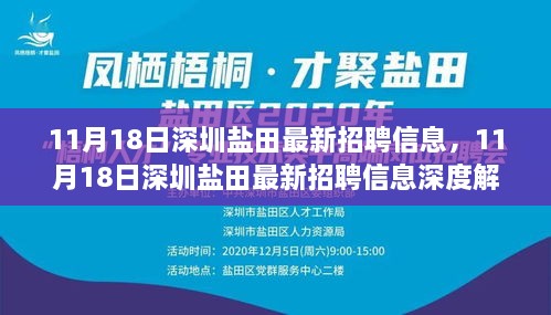 深圳盐田最新招聘信息深度解析及求职指南