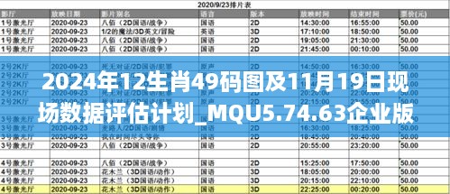 2024年12生肖49码图及11月19日现场数据评估计划_MQU5.74.63企业版