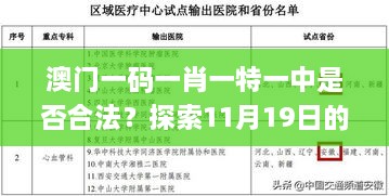 澳门一码一肖一特一中是否合法？探索11月19日的解答与执行_IAK7.61.23神念境