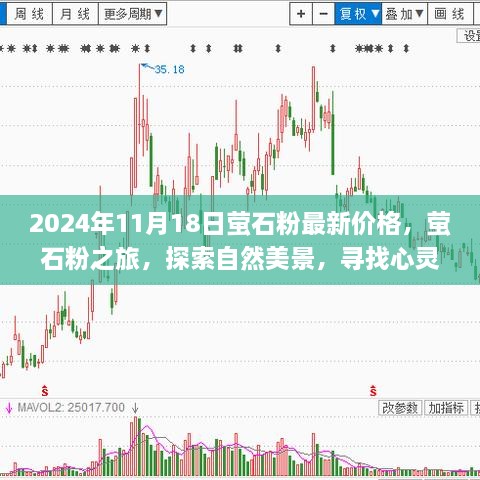 星星打烊 第29页