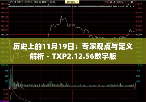 历史上的11月19日：专家观点与定义解析 - TXP2.12.56数字版