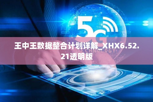 王中王数据整合计划详解_XHX6.52.21透明版