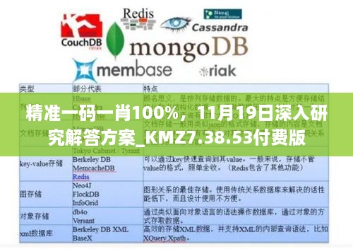 精准一码一肖100%，11月19日深入研究解答方案_KMZ7.38.53付费版