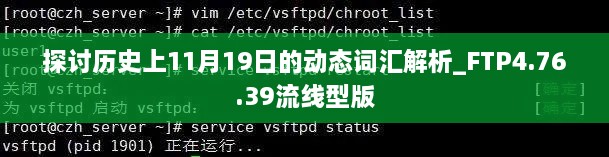 探讨历史上11月19日的动态词汇解析_FTP4.76.39流线型版