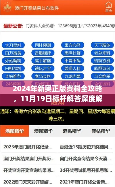 2024年新奥正版资料全攻略，11月19日标杆解答深度解析_LKE7.45.47无限版