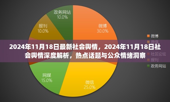 2024年11月18日社会舆情热点解析，公众情绪洞察与深度分析