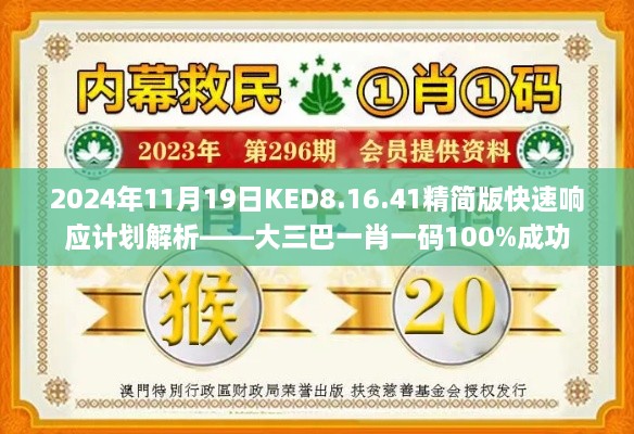 2024年11月19日KED8.16.41精简版快速响应计划解析——大三巴一肖一码100%成功