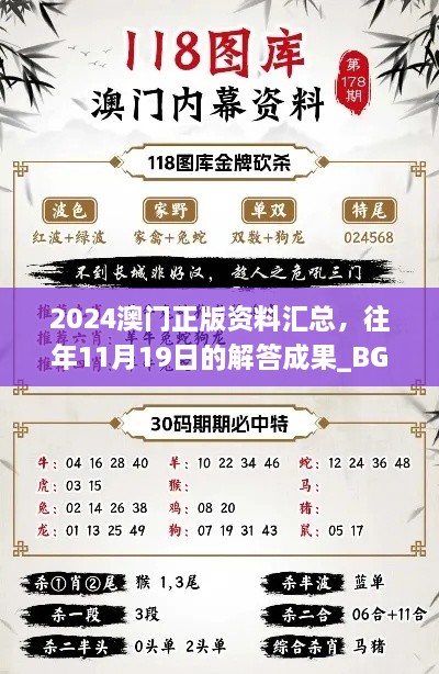 2024澳门正版资料汇总，往年11月19日的解答成果_BGF4.34.76本地版