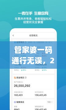 管家婆一码通行无误，2024年11月19日详解与实施_VZQ4.66.28便捷版