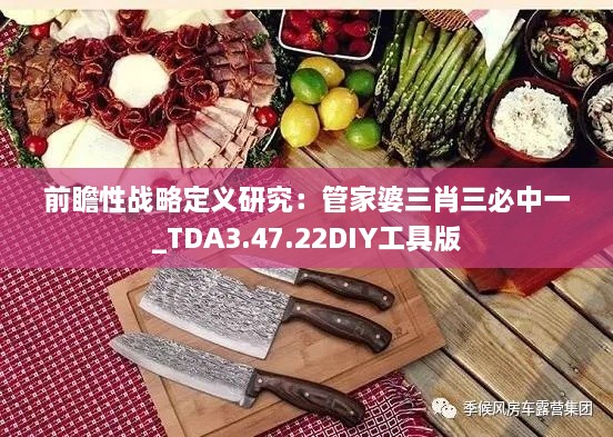 前瞻性战略定义研究：管家婆三肖三必中一_TDA3.47.22DIY工具版