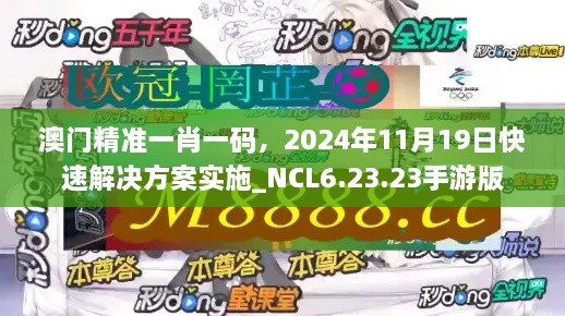 澳门精准一肖一码，2024年11月19日快速解决方案实施_NCL6.23.23手游版