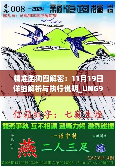 精准跑狗图解密：11月19日详细解析与执行说明_UNG9.34.89珍稀版