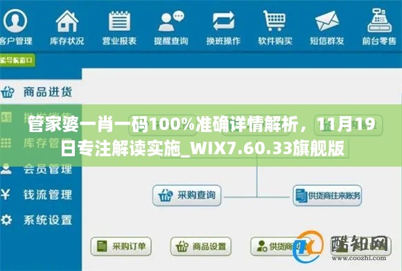 管家婆一肖一码100%准确详情解析，11月19日专注解读实施_WIX7.60.33旗舰版