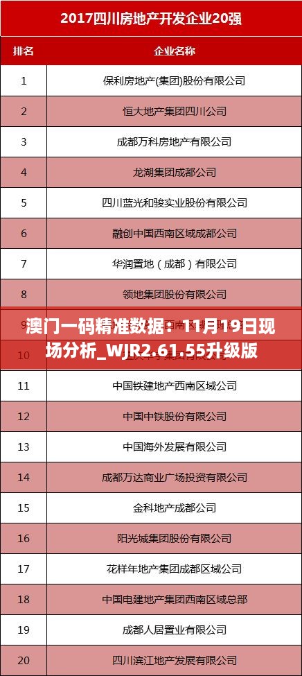 澳门一码精准数据：11月19日现场分析_WJR2.61.55升级版