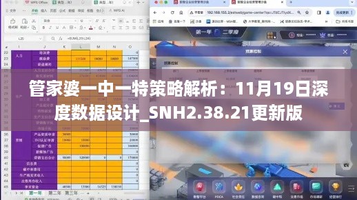 管家婆一中一特策略解析：11月19日深度数据设计_SNH2.38.21更新版