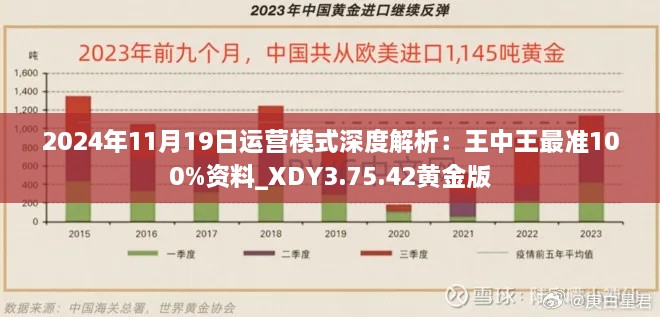 2024年11月19日运营模式深度解析：王中王最准100%资料_XDY3.75.42黄金版