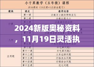 2024新版奥秘资料，11月19日灵活执行方案_GFO2.59.58真实版本