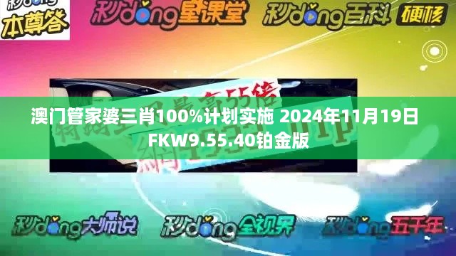 澳门管家婆三肖100%计划实施 2024年11月19日 FKW9.55.40铂金版