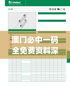 澳门必中一码全免费资料深度解析，11月19日数据分析_VEU9.53.59极限版