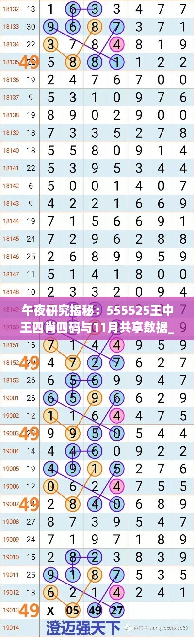 午夜研究揭秘：555525王中王四肖四码与11月共享数据_YVR5.56.79无线版