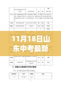 山东中考最新动态，11月18日深刻影响与回顾