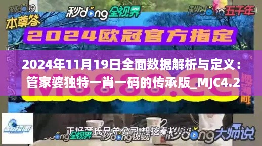 2024年11月19日全面数据解析与定义： 管家婆独特一肖一码的传承版_MJC4.26.58