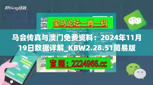 马会传真与澳门免费资料：2024年11月19日数据详解_KBW2.28.51简易版