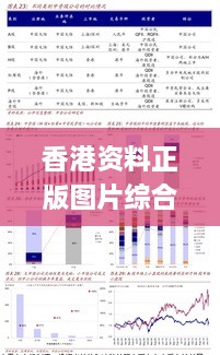 香港资料正版图片综合分析：往年11月19日现象的定义与解读_NIR5.53.93复兴版