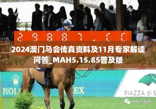 2024澳门马会传真资料及11月专家解读问答_MAH5.15.85普及版