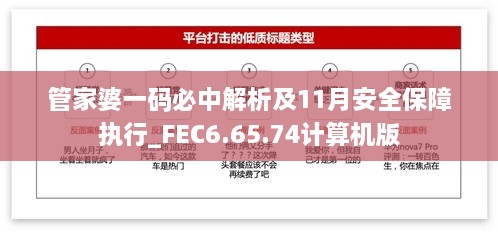 管家婆一码必中解析及11月安全保障执行_FEC6.65.74计算机版