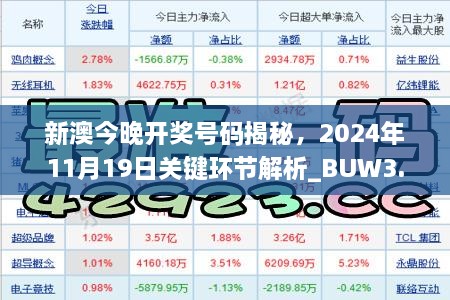 新澳今晚开奖号码揭秘，2024年11月19日关键环节解析_BUW3.44.90手机版