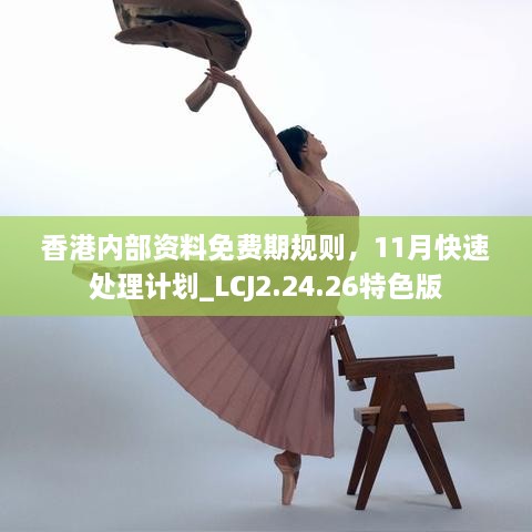 香港内部资料免费期规则，11月快速处理计划_LCJ2.24.26特色版