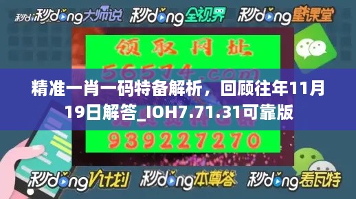 精准一肖一码特备解析，回顾往年11月19日解答_IOH7.71.31可靠版