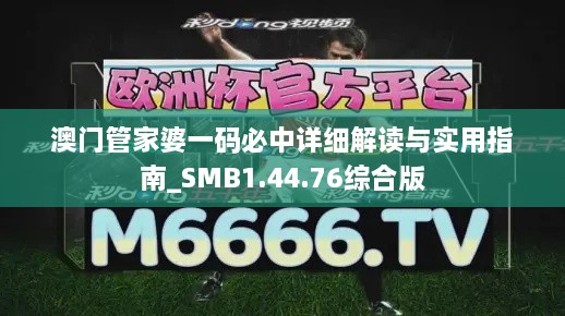 澳门管家婆一码必中详细解读与实用指南_SMB1.44.76综合版