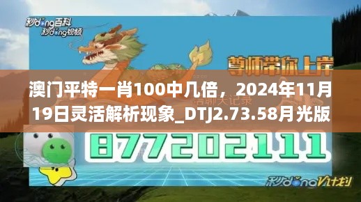 澳门平特一肖100中几倍，2024年11月19日灵活解析现象_DTJ2.73.58月光版